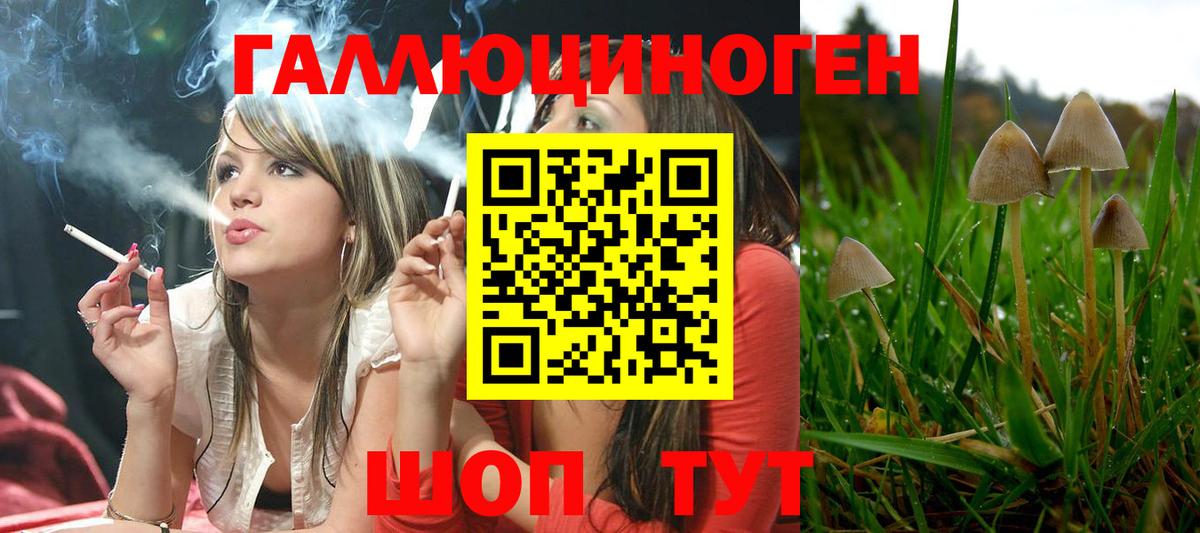 Псилоцибиновые грибы мухоморы Дюртюли