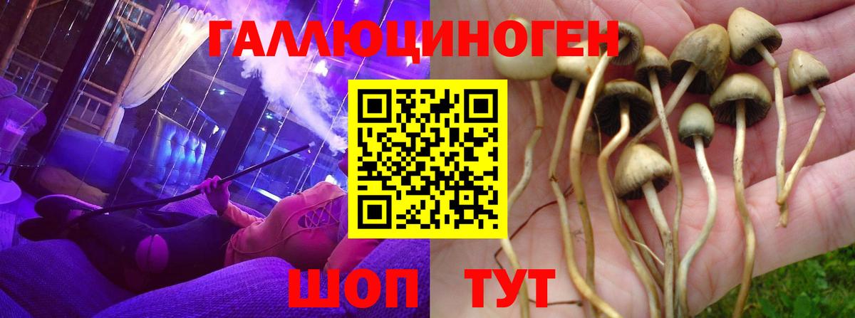Дюртюли  Галлюциногенные грибы Cubensis  Вход с VPN  Галлюциногенные грибы Psilocybine cubensis 