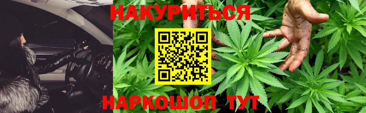 Дюртюли  Конопля сатива  Каннабис сатива  Марихуана планчик  Вход с VPN 